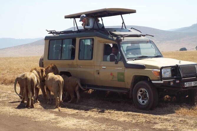 4 Days Tanzania Camping Safari - Key Points