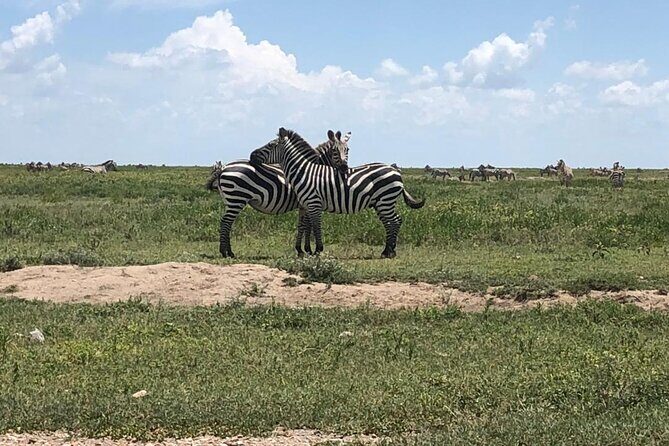 4 Days Tanzania Camping Safari - FAQ