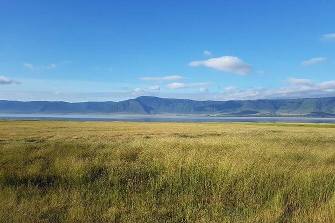 4 Days Tanzania Luxury Safari - FAQ