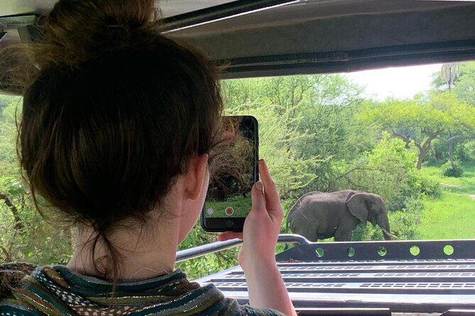 4 Days Tanzania Mid Range Lodge Safari - Transportation and Comfort 
