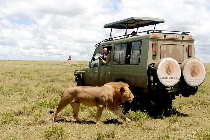 4 Days Tanzania Private Lodge Safari - Key Points