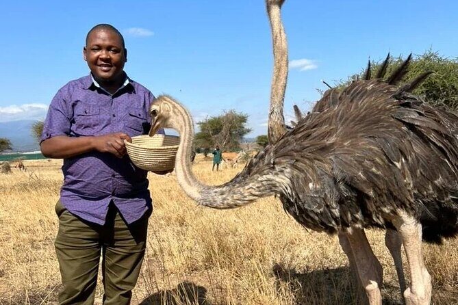 4 Days Tanzania Safari Tarangire, Serengeti and Ngorongoro Crater - The Sum Up