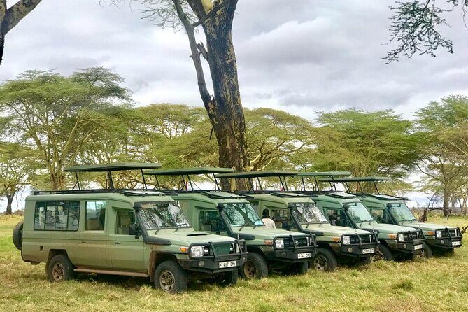 4 Days Tanzania Safari Tour - The Sum Up