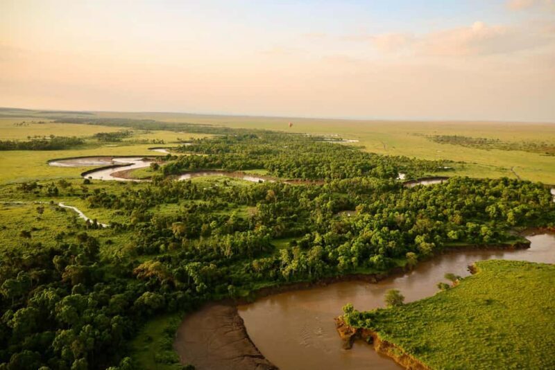 4 Days Tarangire and Serengeti Wildlife Budget Safari - The Value of This Safari