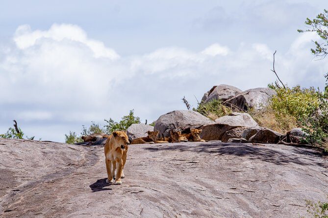 4 Days Tarangire , Ngorongoro ,Manyara and lake Eyasi village - Authentic Experiences That Matter