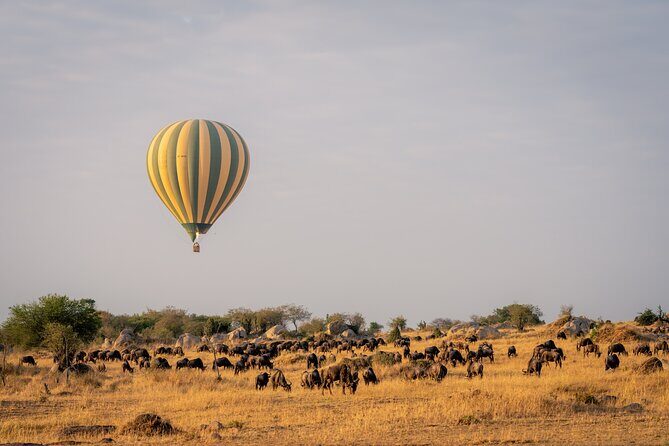 4 Days Tarangire, Serengeti and Ngorongoro Mid-Range Group Safari - Who Will Love This Safari?