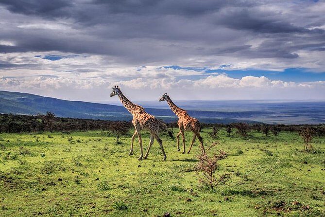 4 Days Tarangire Serengeti Ngorongoro Crater - The Itinerary in Detail