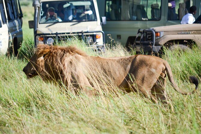 4 Days Tarangire ,Serengeti &Ngorongoro crater group Tour - Exploring the Itinerary in Detail