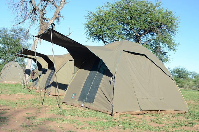 4 Days Tarangire ,Serengeti &Ngorongoro crater group Tour - FAQs