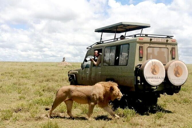 4 Days Tarangire, Serengeti & Ngorongoro Crater Joining Group - Who Would Love This Tour?