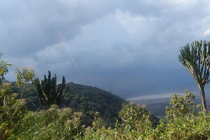4 days Tarangire, Serengeti & Ngorongoro - What Sets This Safari Apart?