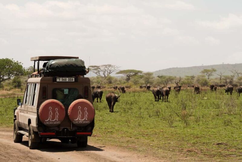 4 Days Tarangire, Serengeti, Ngorongoro Group Camping Safari - Authenticity and Value: What Sets This Safari Apart