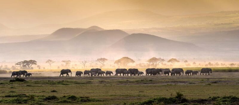 4 Days Tarangire, Serengeti, Ngorongoro Mid-range Safari - Highlights and Potential Drawbacks