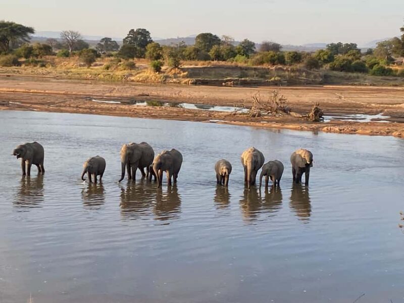 4 Days Tarangire, Serengeti, Ngorongoro Mid-range Safari - FAQs
