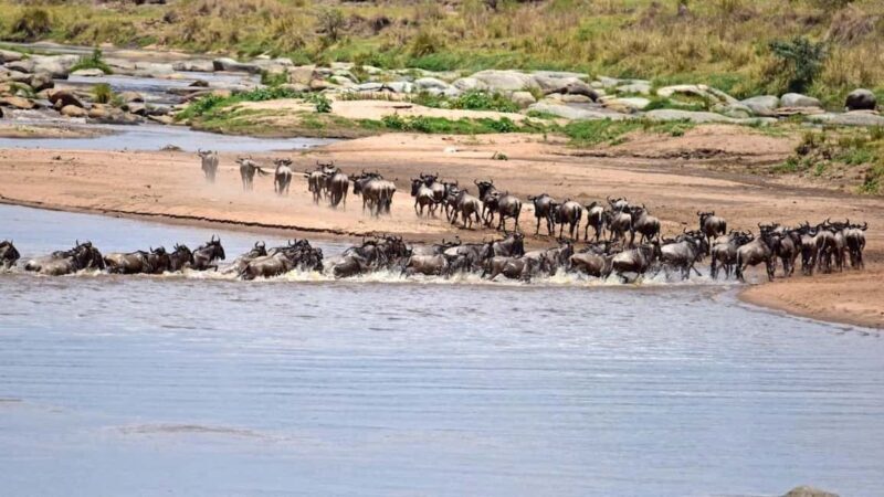 4 days: The Wonders of Tanzania. - Cultural Encounters and Experience Quality