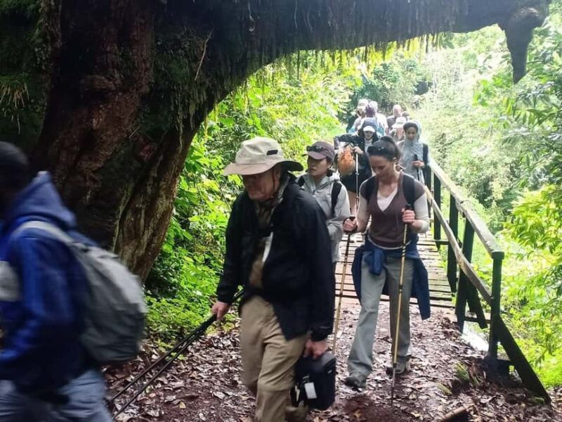 4-Days To Experience Majestic Of Mt. Meru - Arusha - Key Points
