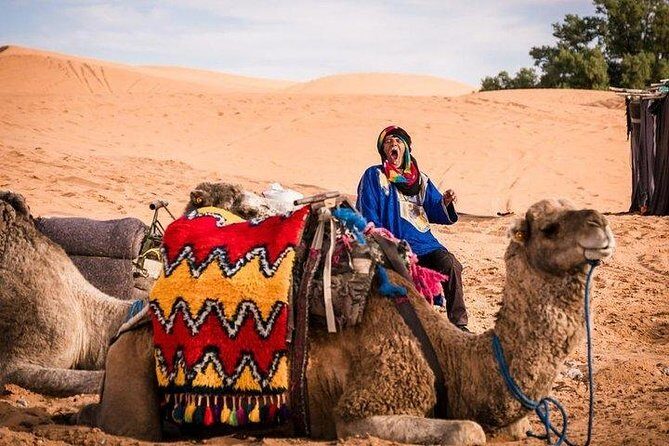4 days to the Sahara desert from Fez to Marrakech - Authentic experiences and highlights from reviews
