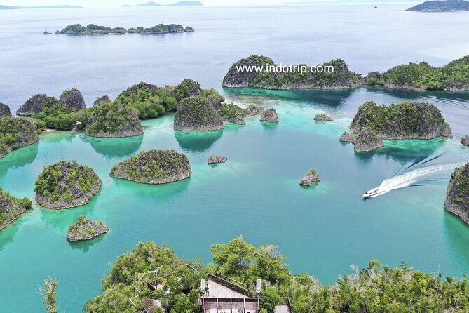 4 Days Tour and Snorkeling in Raja Ampat from Sorong - Final Thoughts: Who Should Book This Tour?