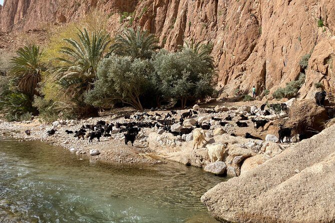 4 Days Tour From Fes To Marrakech Via Merzouga Desert - FAQ