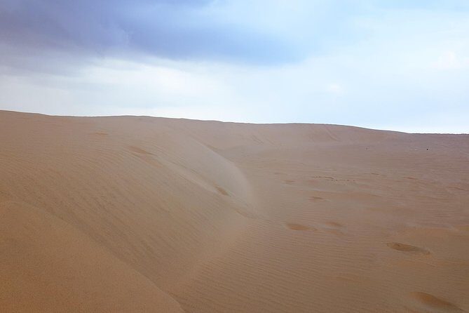 4 Days Tour In Doha | City Tour | North Tour | Desert Safari | West Tour - Why This Tour Is Perfect for You