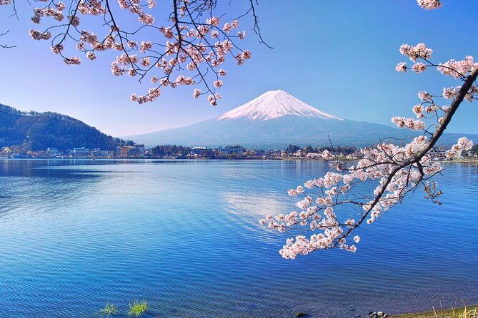 4-days-tour-in-tokyo-mt-fuji-hakone-yokohama-and-kamakura