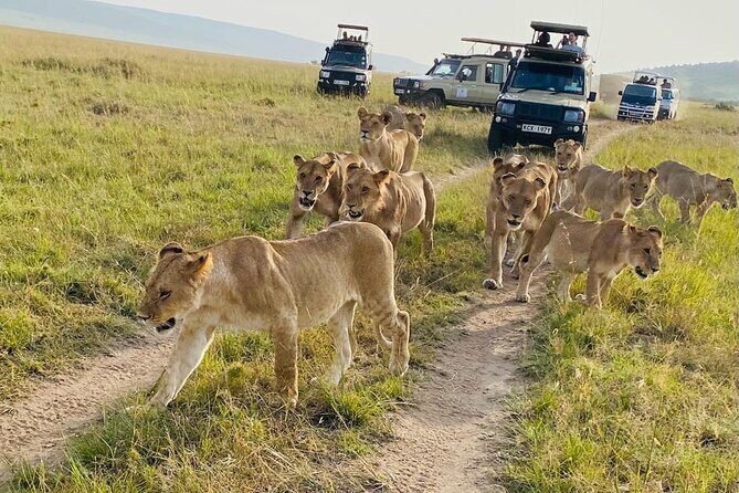 4 Days Tour Landcruiser in Masai Mara and Lake Nakuru - Why This Tour Offers Great Value