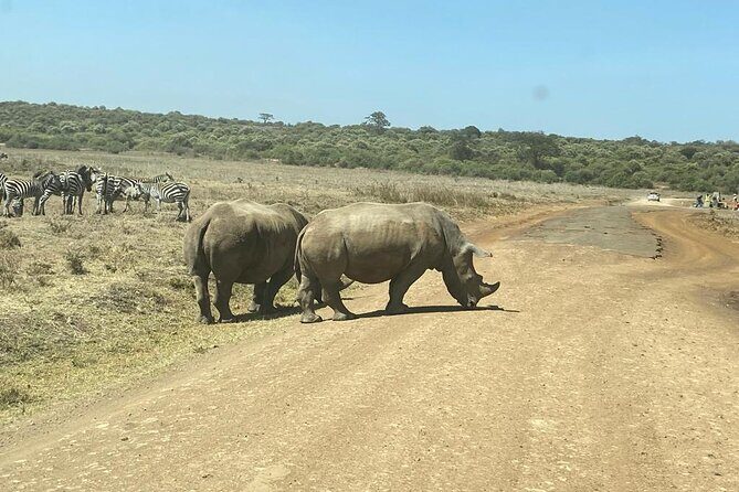 4 Days Tour Landcruiser in Masai Mara and Lake Nakuru - Final Thoughts: Is This Safari Right for You?