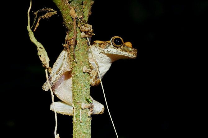4-days-tour-to-tambopata-national-reserve
