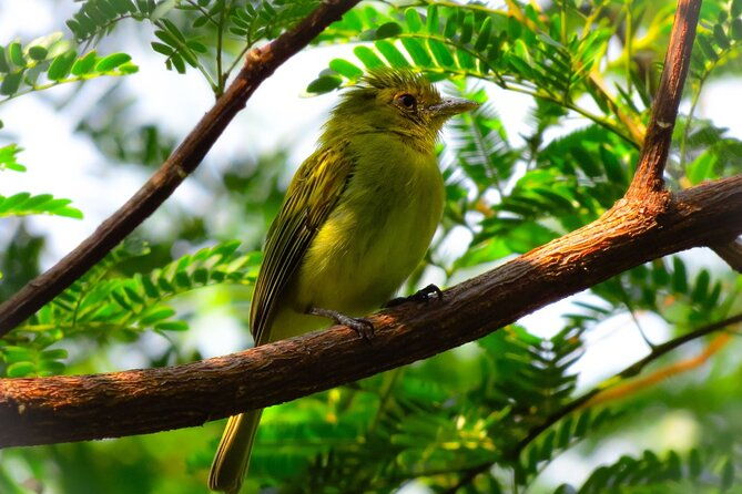 4-days-tour-to-tambopata-national-reserve