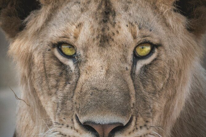 4-Days Tour to Tanzania National parks - The Sum Up