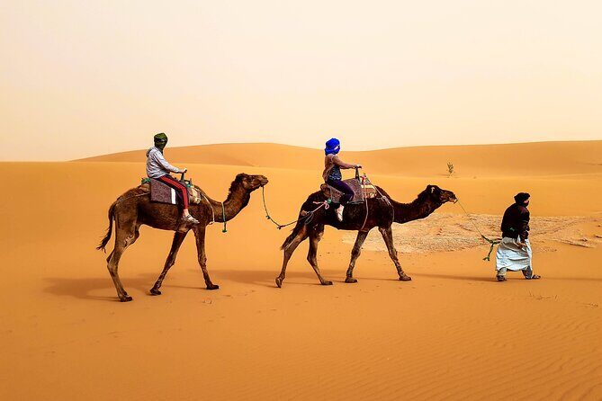 4 days trek - The legs of camels - Key Points