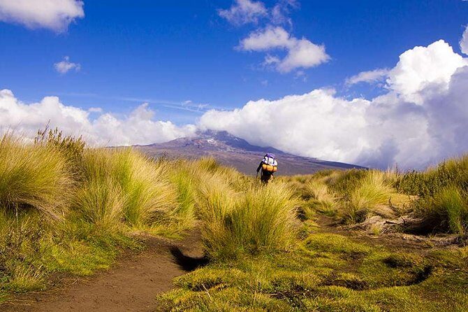4 Days Trekking in Mount Kenya - Introduction: What Makes This Mount Kenya Trek Stand Out?