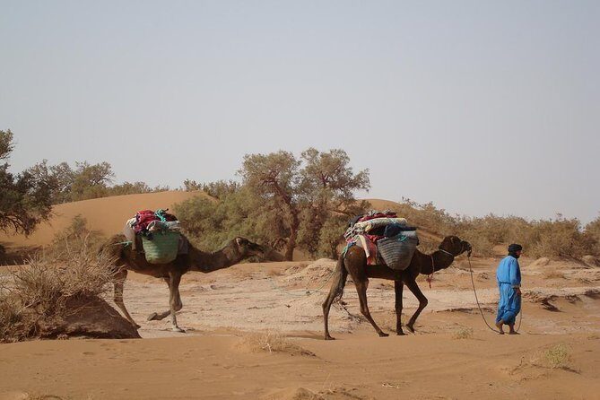 4 Days Trekking To The Heart Of Desert - Introduction