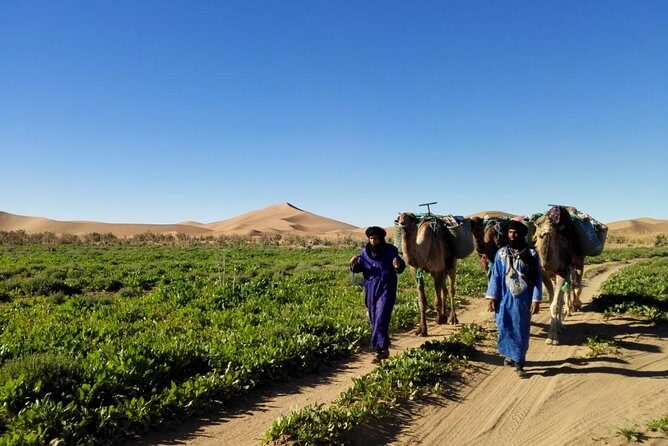 4 Days Trekking To The Heart Of Desert - Practical Aspects & Logistics
