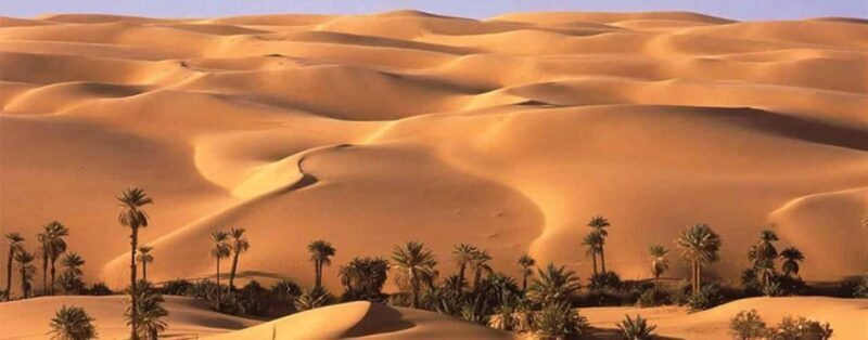 4 Days Trip to El-Fayoum, White Desert and Bahariya Oasis - A Detailed Look at the 4-Day Itinerary