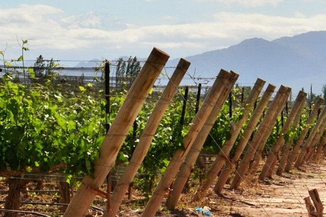 4-days-trip-to-mendoza-and-the-andes