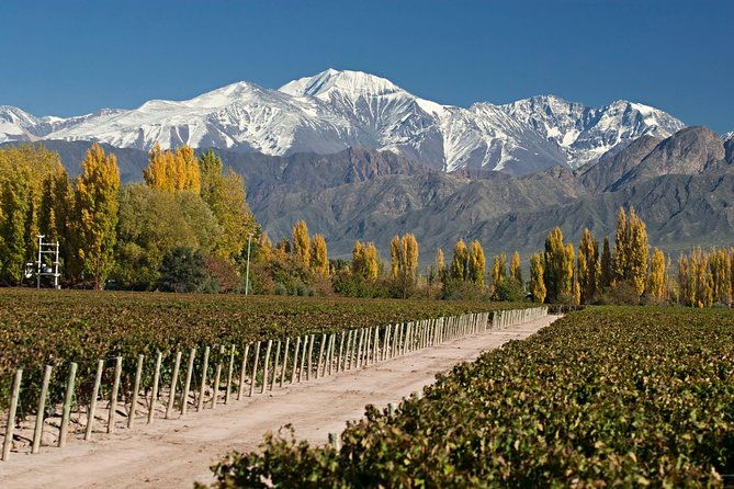 4-days-trip-to-mendoza-and-the-andes