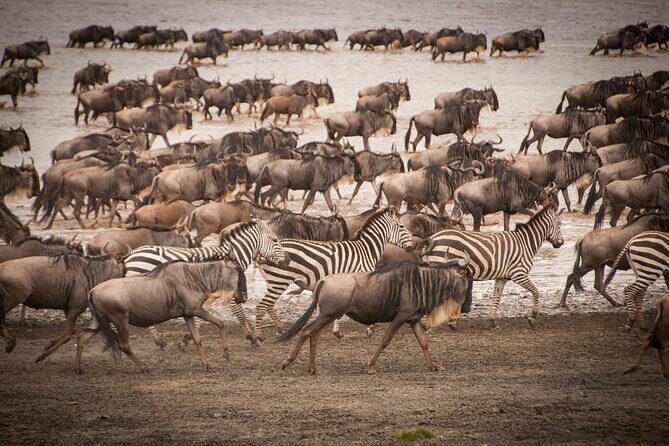 4 Days Tsavo West, Amboseli and Tsavo East National Park Safari - Practical Tips for Future Travelers