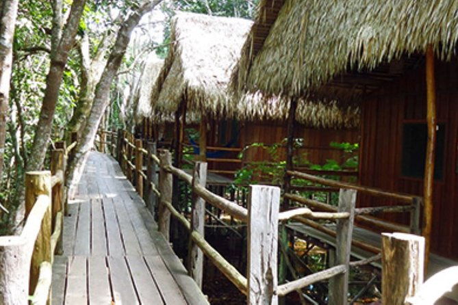 4-days-unique-experience-at-amazon-lodge-immersion-on-a-jungle-adventure