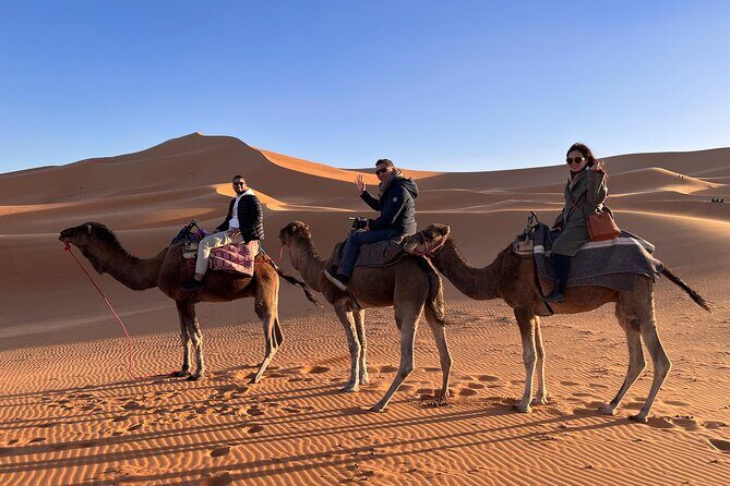 4-Days VIP Small Group Desert Tour Marrakech to Fez or Marrakech - Key Points