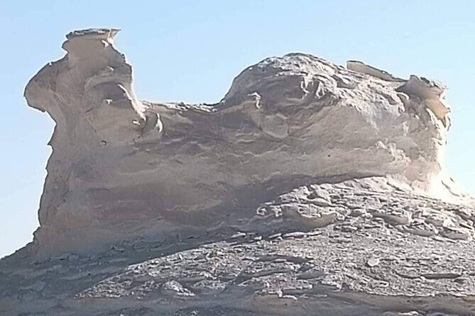4 Days White Desert and Bahariya Oasis Tour - Key Points