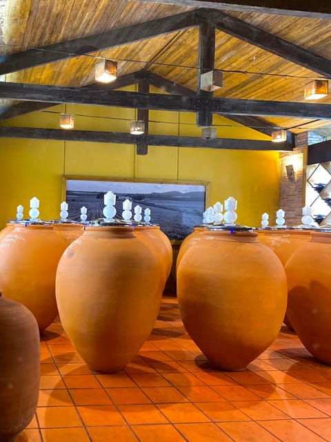 4-days-wine-trip-to-valencia-requena-16-9-20-9-2025