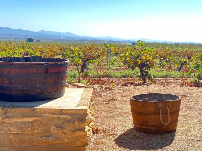 4-days-wine-trip-to-valencia-requena-16-9-20-9-2025