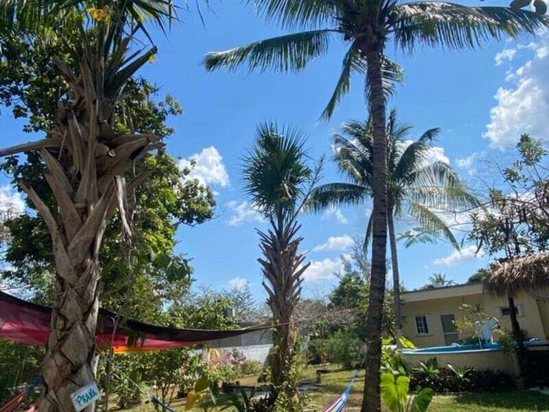 4 Days Yoga, Snorkel and Horseback Riding in Cozumel - Final Thoughts