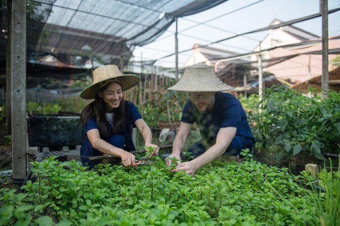 4 Dishes Thai Cuisine Experience at Bang Kruai, Nonthaburi - Authenticity and Cultural Insights