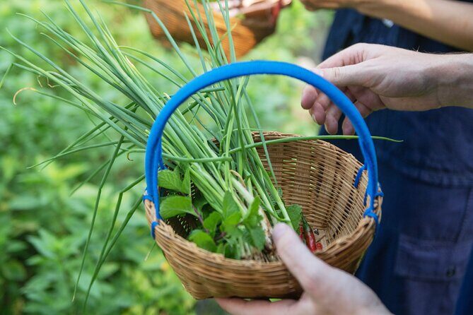 4 Dishes Thai Cuisine Experience at Bang Kruai, Nonthaburi - Final Thoughts