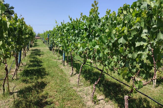 4-group-tours-including-airport-transfers-2