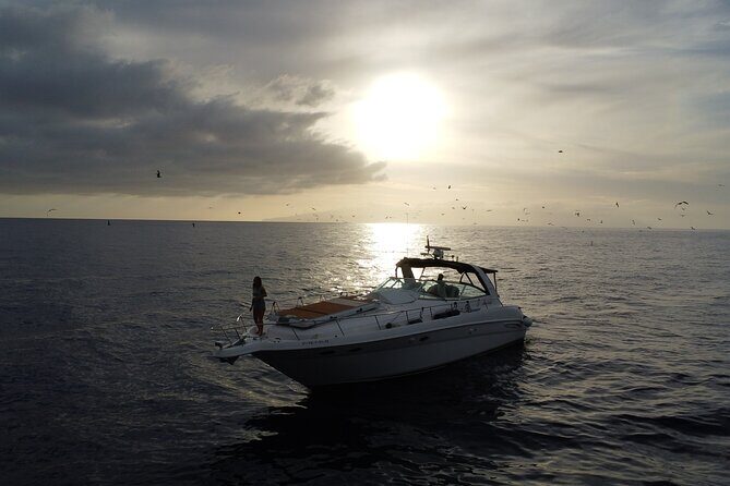 4 Hour Boat Tour with Snorkeling from Puerto Rico and Mogan - Who is this tour ideal for?  