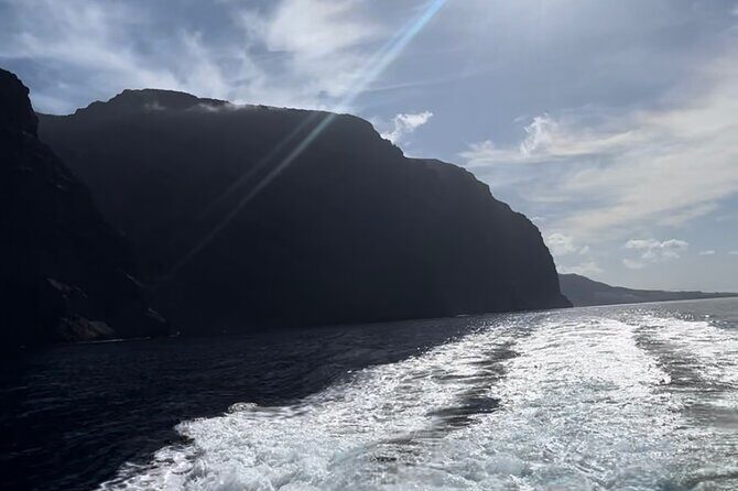 4 Hour Boat Tour with Snorkeling from Puerto Rico and Mogan - Who Should Book This Tour?