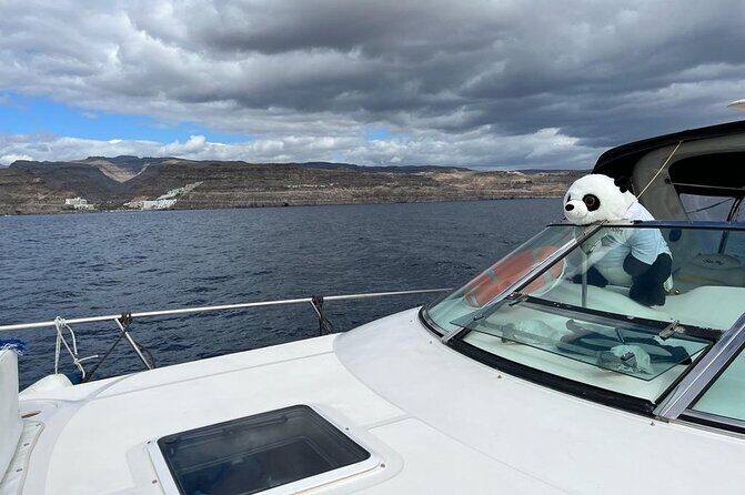 4 Hour Boat Tour with Snorkeling from Puerto Rico and Mogan - The Sum Up